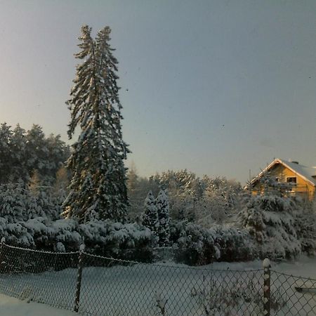 Vila Gosciniec Nad Stawem Szczytno  Exteriér fotografie